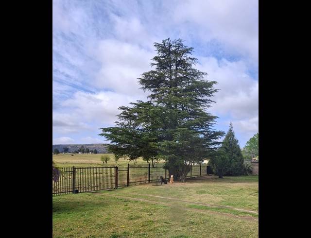 3 BEDROOM HOUSE FOR SALE IN LADYBRAND